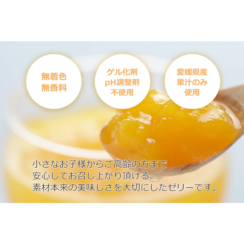 みかん寒天ゼリー 150g×8本セット