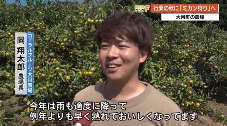 【龍馬感激みかん３キロ箱30～48個】（送料無料一部地域除く）秋の香りを一足早く感じる一品,【レギュラー】