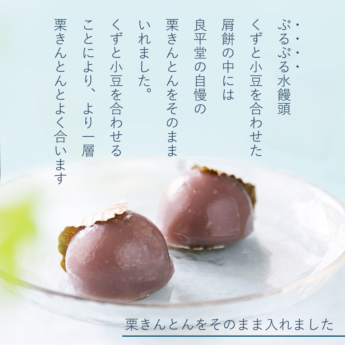 栗きんとん水まんじゅう 10入 岐阜 良平堂 | 47CLUB – 名産