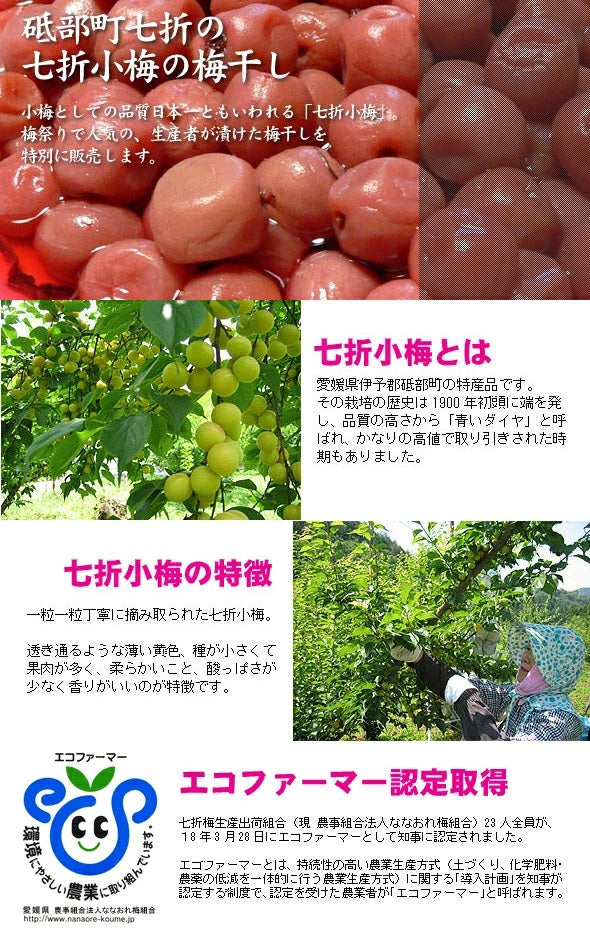 【送料無料】七折小梅 梅干 900g 化粧箱入り [ななおれ梅組合]