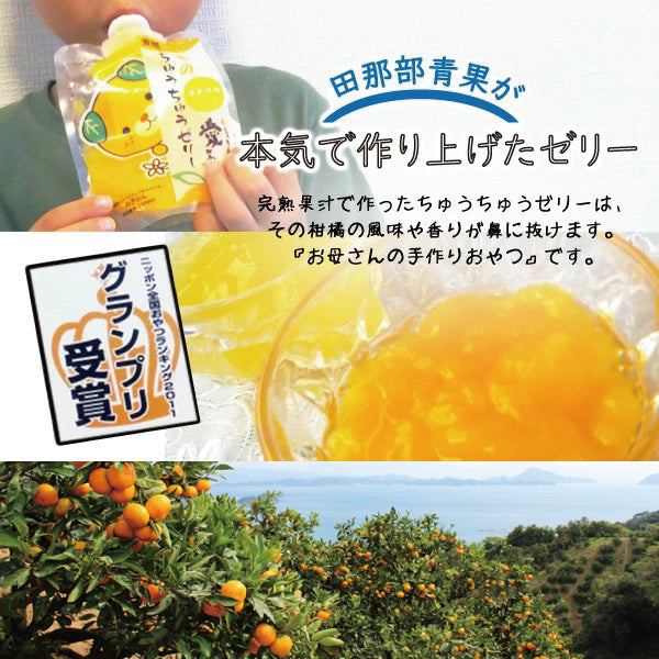 【田那部青果】 みきゃんパッケージ ちゅうちゅうゼリー 10個入り