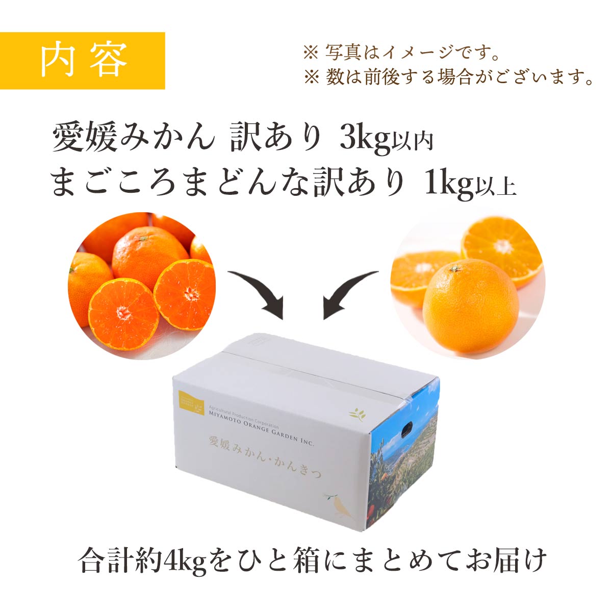 愛媛の人気品種を食べ比べ！みかん・まどんな食べ比べセット