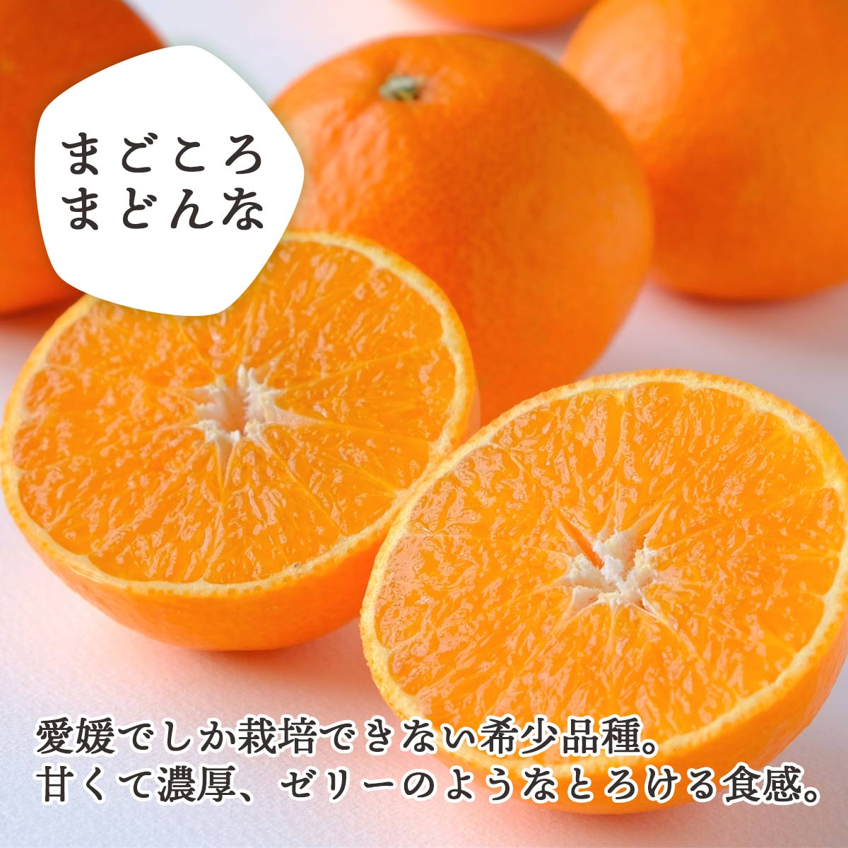 【11月下旬頃より順次出荷】愛媛の人気品種を食べ比べ！みかん・まどんな食べ比べセット