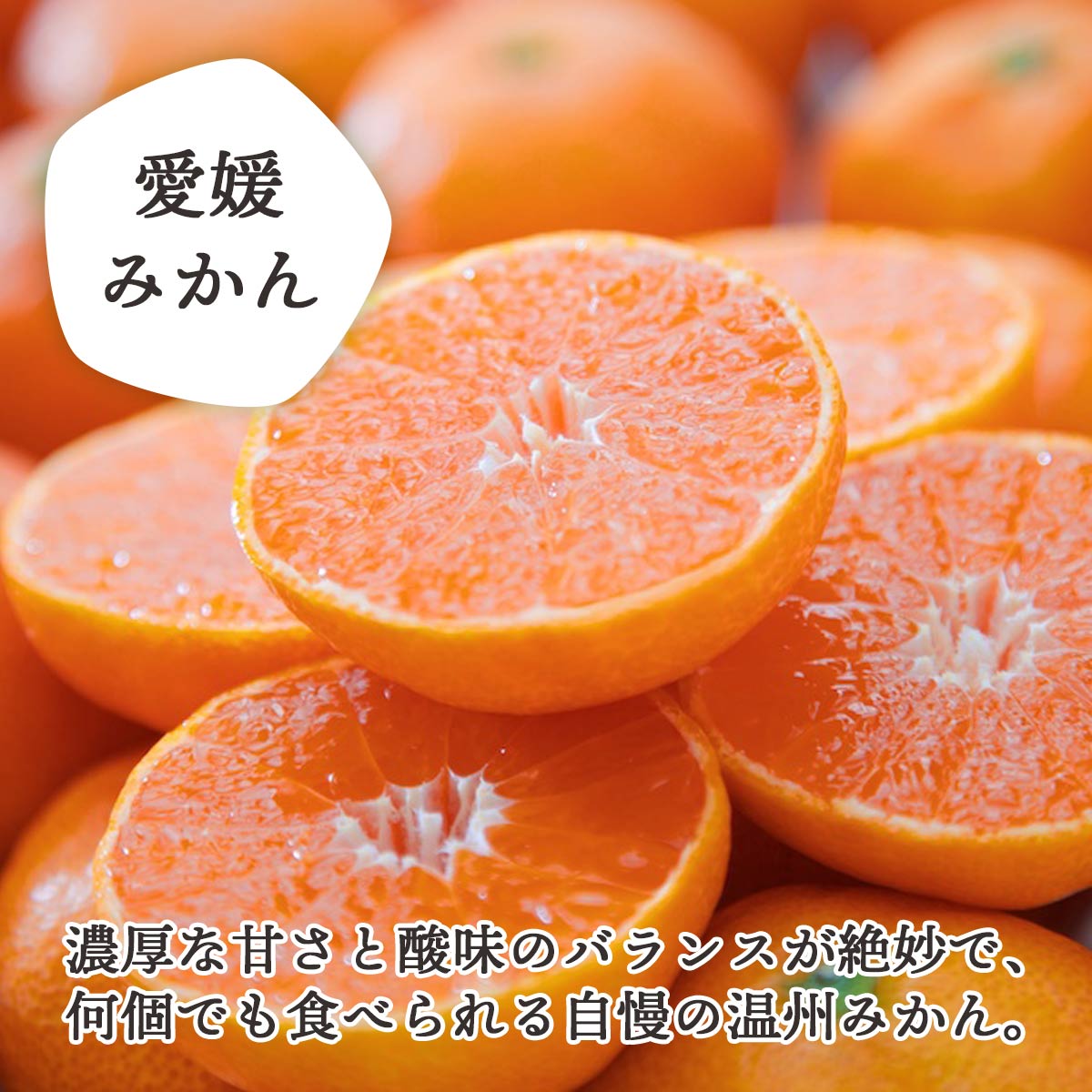 愛媛の人気品種を食べ比べ！みかん・まどんな食べ比べセット