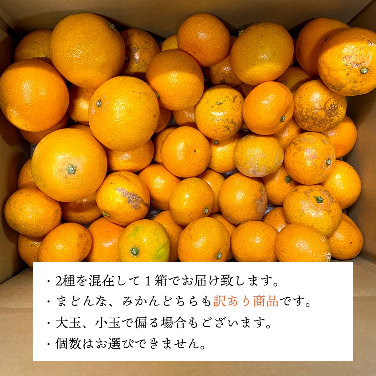 【11月下旬頃より順次出荷】愛媛の人気品種を食べ比べ！みかん・まどんな食べ比べセット