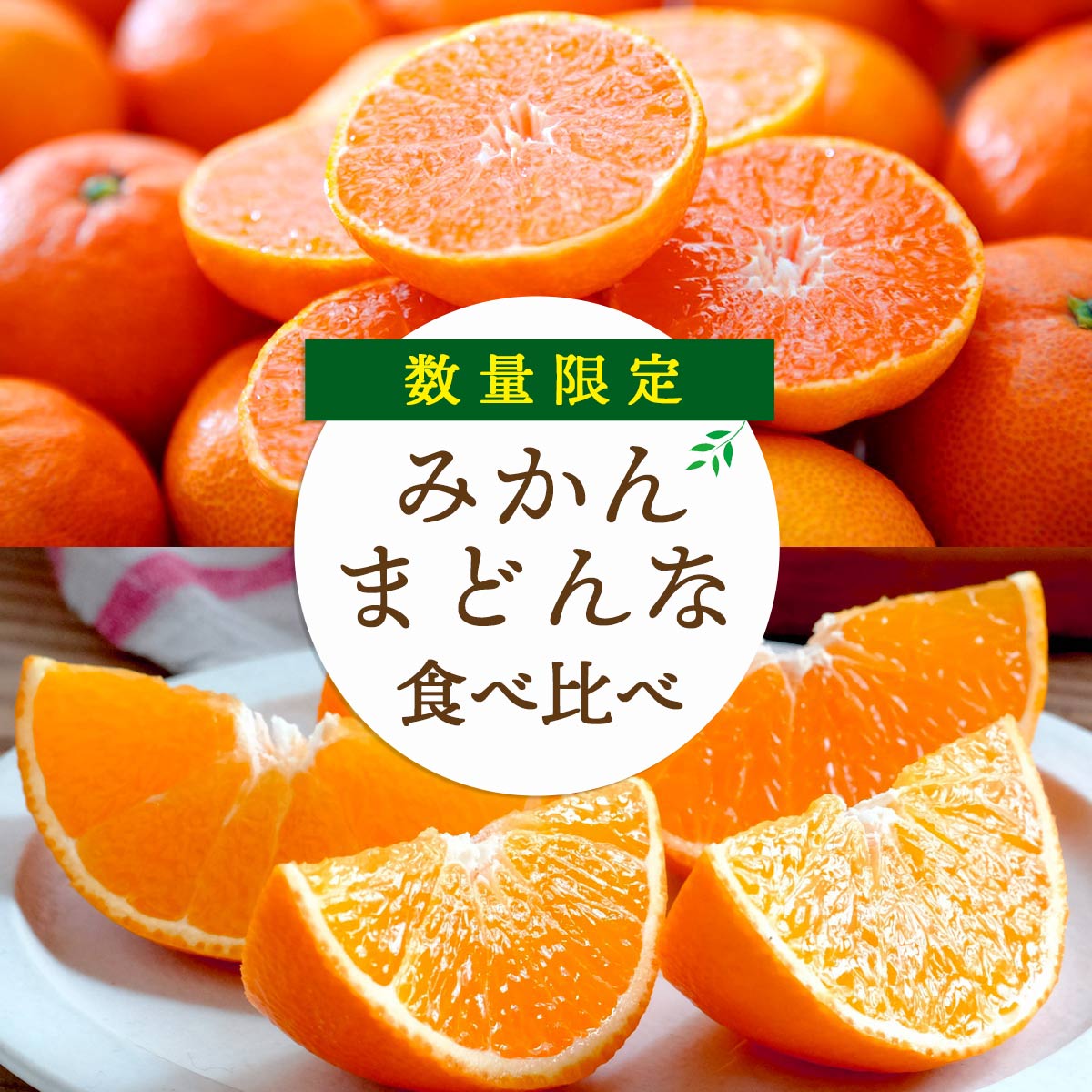【11月下旬頃より順次出荷】愛媛の人気品種を食べ比べ！みかん・まどんな食べ比べセット