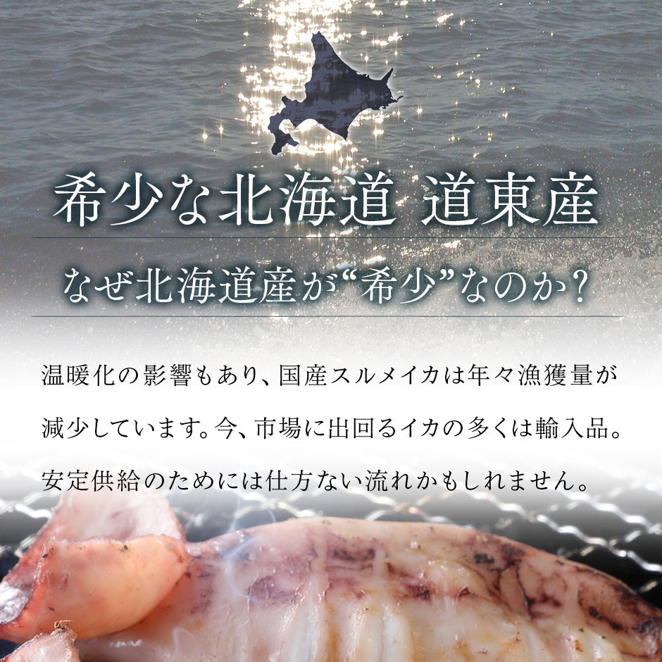 北海道産 真イカ(お手頃サイズ)　10尾入×4セット　※丸ごと（丸魚）【送料無料】
