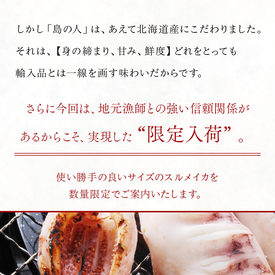 北海道産 真イカ(お手頃サイズ)　10尾入　※丸ごと（丸魚）