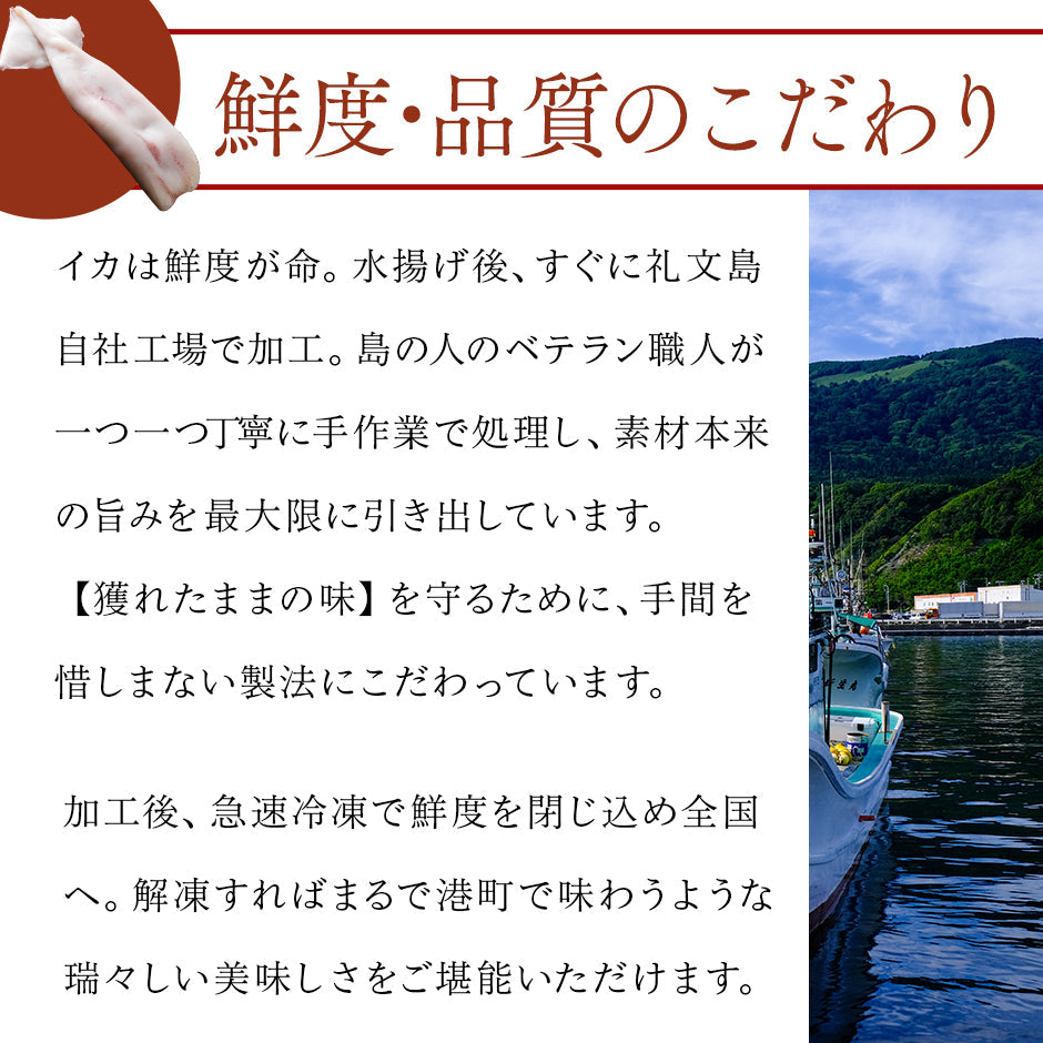 北海道産 真イカ(お手頃サイズ)　10尾入×4セット　※丸ごと（丸魚）【送料無料】