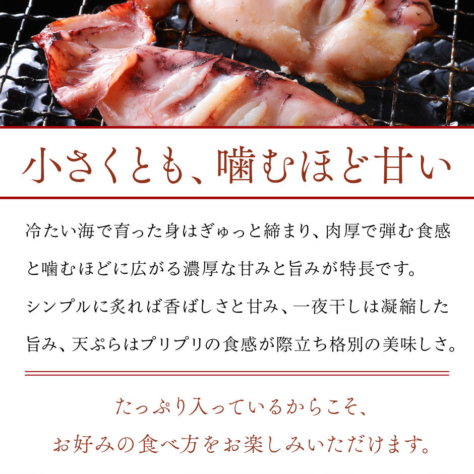 北海道産 真イカ(お手頃サイズ)　10尾入×4セット　※丸ごと（丸魚）【送料無料】