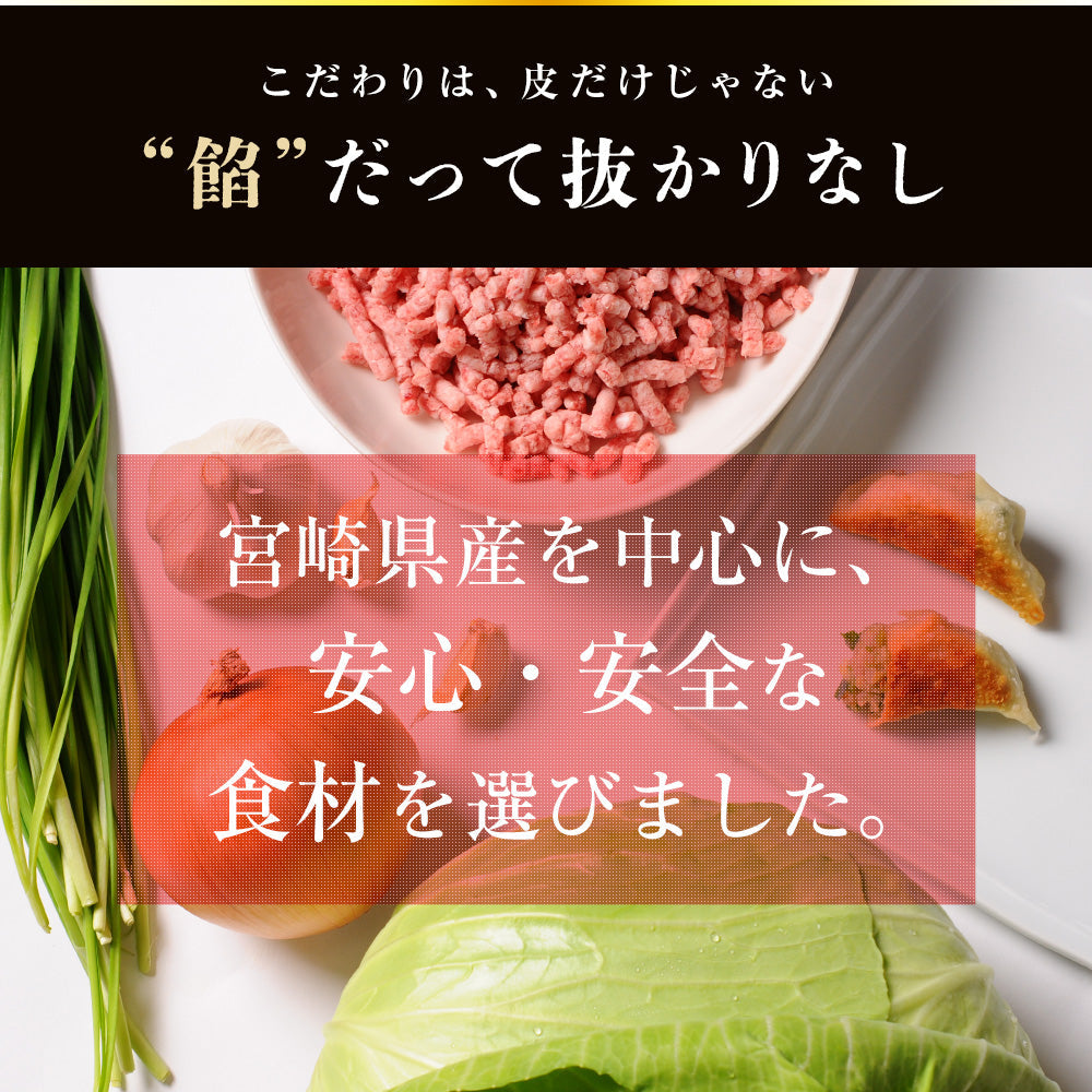 もっちり餃子40個【送料無料】【餃子の馬渡】【宮崎県】【高鍋町】