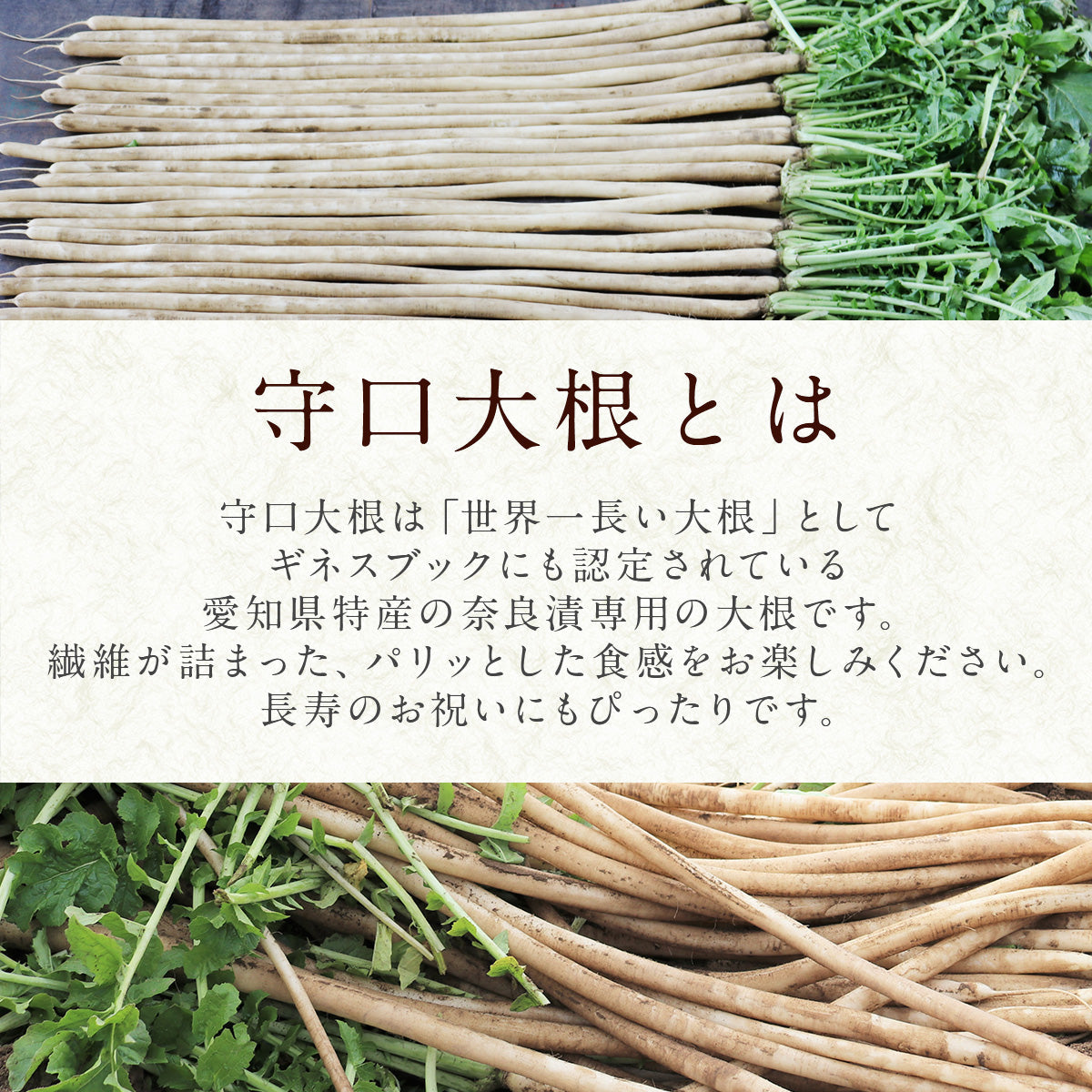 【12/9まで限定・送料無料！】クリスマスキャラ弁に挑戦！お得な奈良漬セット