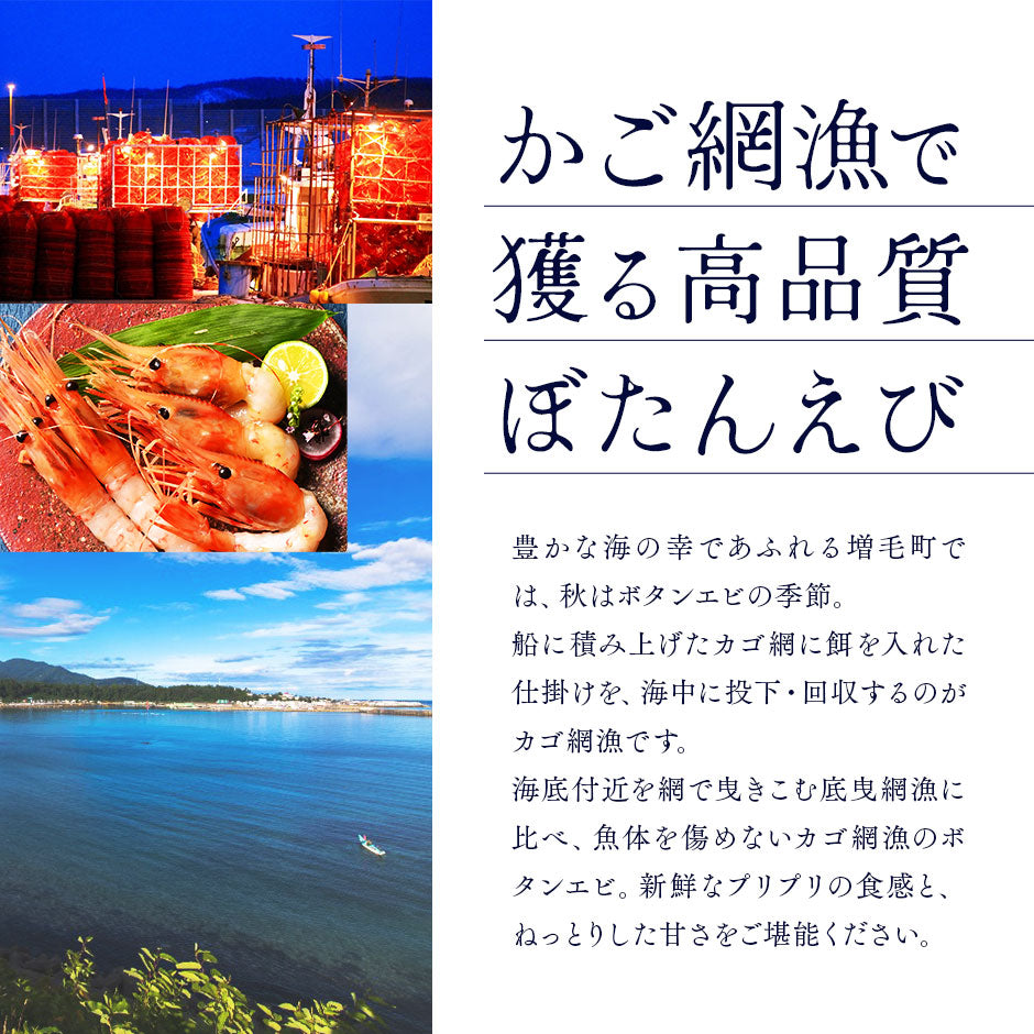 北海道 増毛産 ボタンエビ 400g(9-12尾前後)【希少な北海道産】【送料無料】