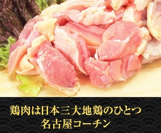 12/1より順次発送【名古屋キーマカレー】１人前180g 名古屋コーチン肉を使用した特製キーマカレー レトルト 送料無料