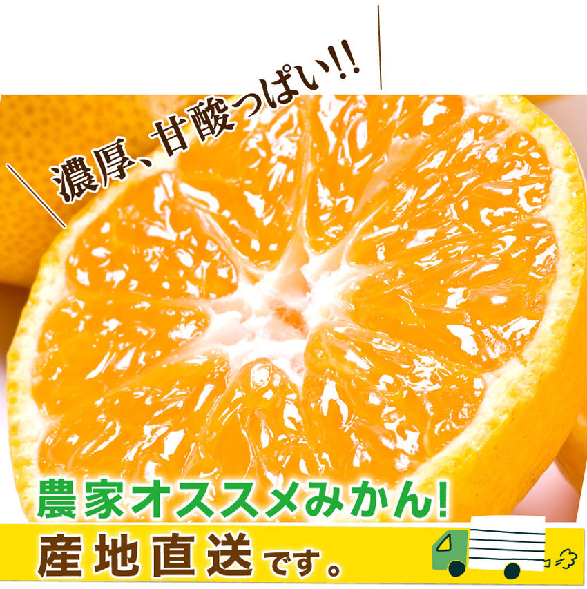 【完熟！甘酸っぱい！】★農家が旨い！と言うミカン 2.5ｋｇ（サイズを選べます）★