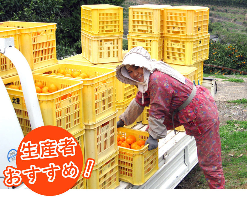 【完熟！甘酸っぱい！】★農家が旨い！と言うミカン 9ｋｇ（サイズを選べます）★
