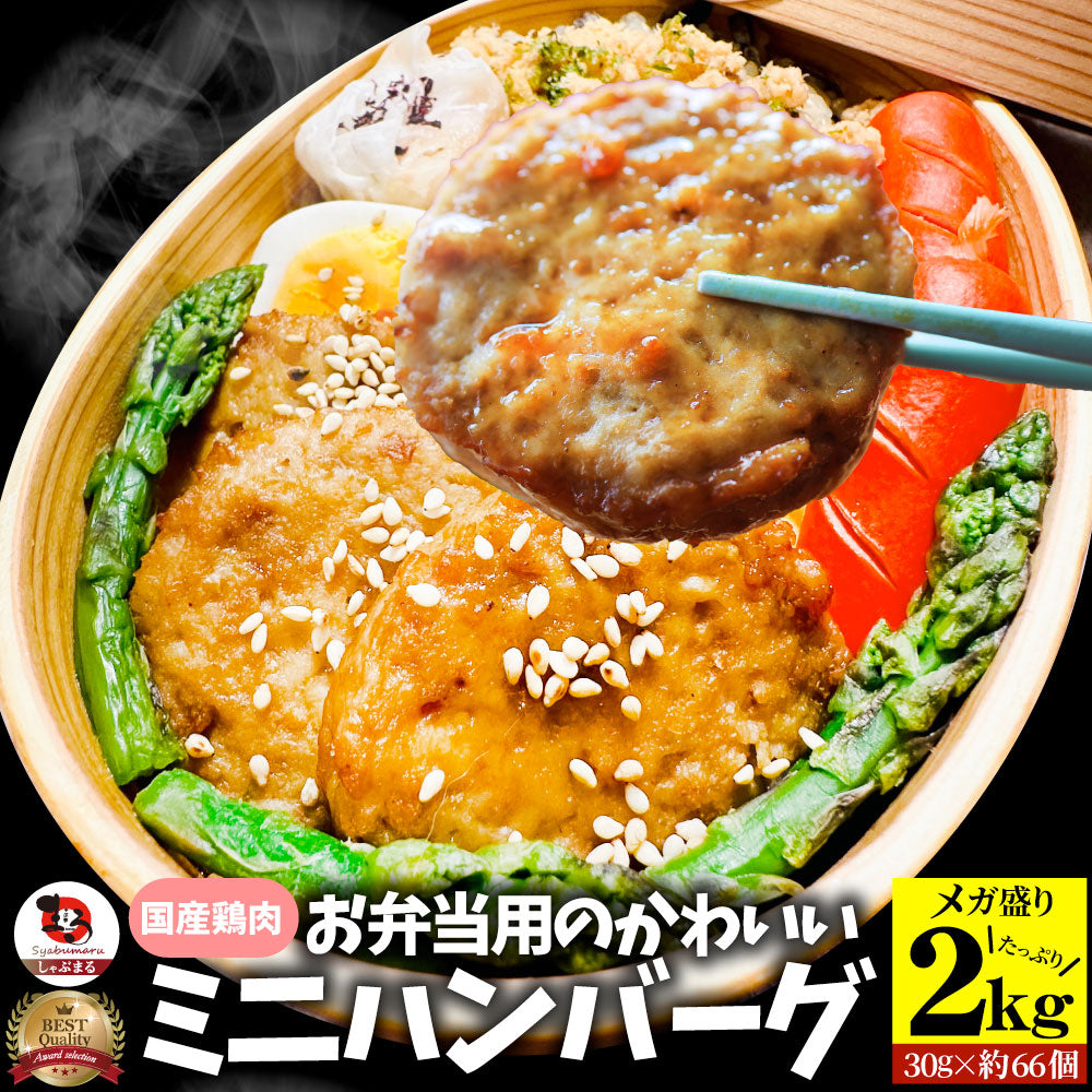 お弁当 ミニハンバーグ 冷凍 肉 鶏 鳥 ハンバーグ 惣菜 弁当 あす楽 業務用 温めるだけ レンチン 冷食 送料無料