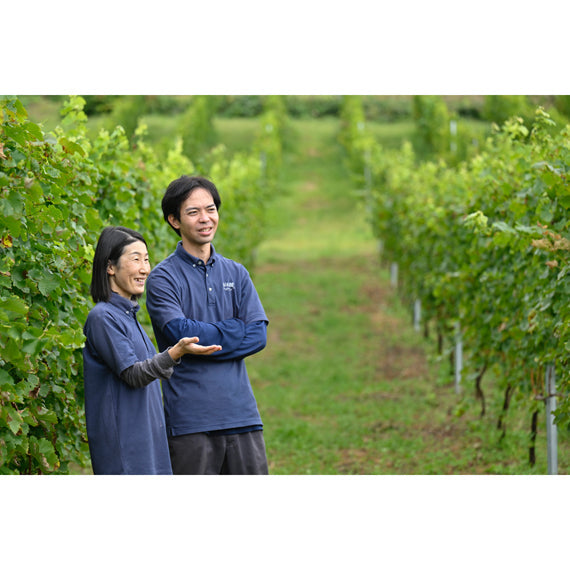 【2024年】2024月山山麓ヌーヴォー　白ワイン 720ml（やや甘口）【酒・ジュース・飲料】