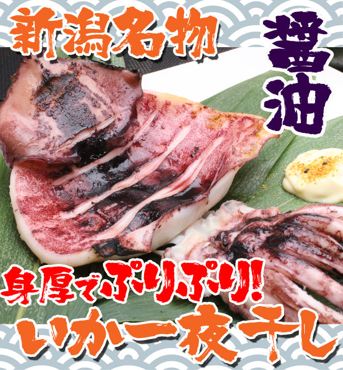 新潟名物 いか一夜干し 醤油２枚入 イカ 烏賊 おつまみ 肴 海鮮 ギフト 海鮮問屋 見田元七商店