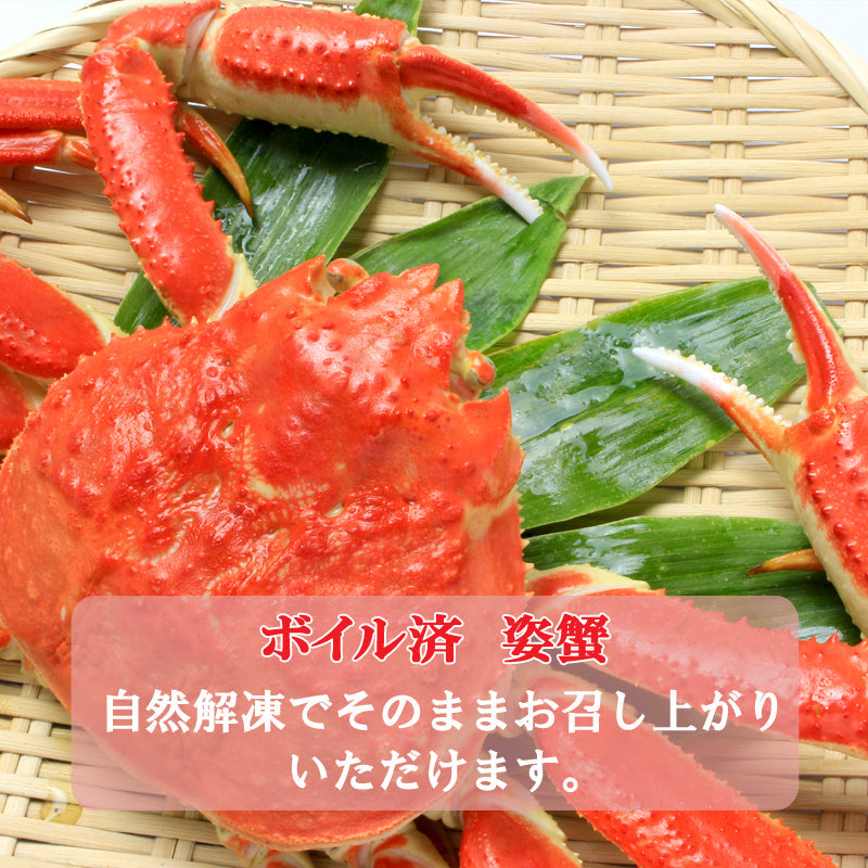 【送料無料】ボイル済み 冷凍 ズワイ蟹2尾入 約1kg前後 かに味噌入り かに カニ ギフト 2025 海鮮問屋 見田元七商店