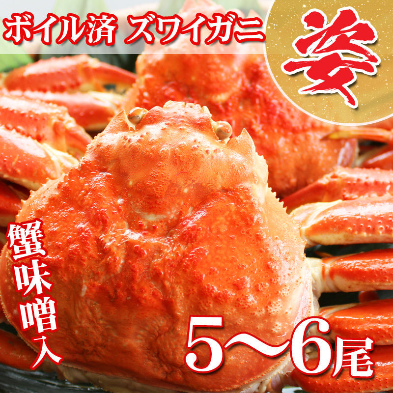 【送料無料】ボイル済 冷凍 ずわい蟹/姿 3㎏（5～6尾入） かに カニ ギフト 2025 海鮮問屋 見田元七商店