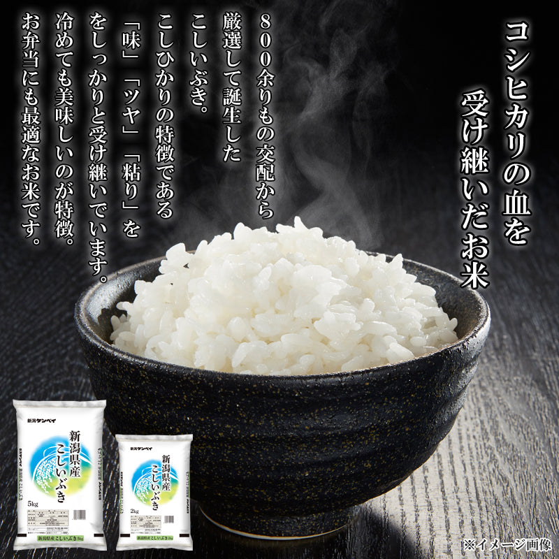 【送料込】令和7年産 新米 新潟県産 こしいぶき 10kg 産地直送 お米 ブランド米 精米 白米 ギフト おこめ 見田元七商店 ※ 国産米