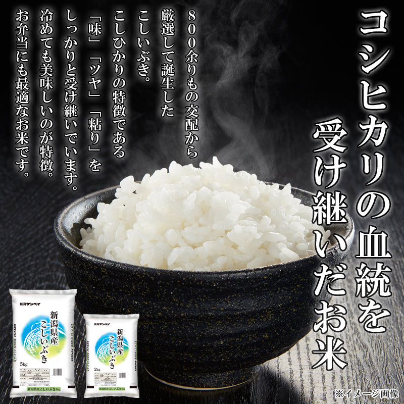 【送料込】令和7年産 新米 新潟県産 こしいぶき 10kg 産地直送 お米 ブランド米 精米 白米 ギフト おこめ 見田元七商店 ※ 国産米