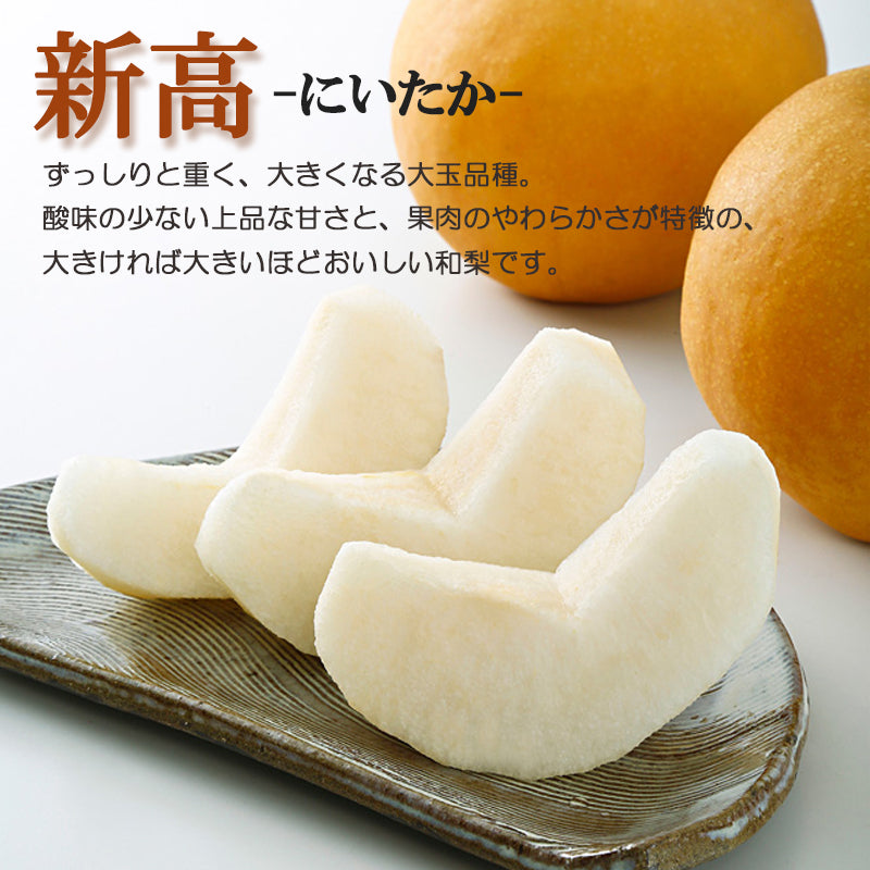 【申込期間は10/20迄】【送料込】梨 新潟市産 新高（にいたか）3㎏～ 白根 大郷の梨 海鮮問屋 見田元七商店