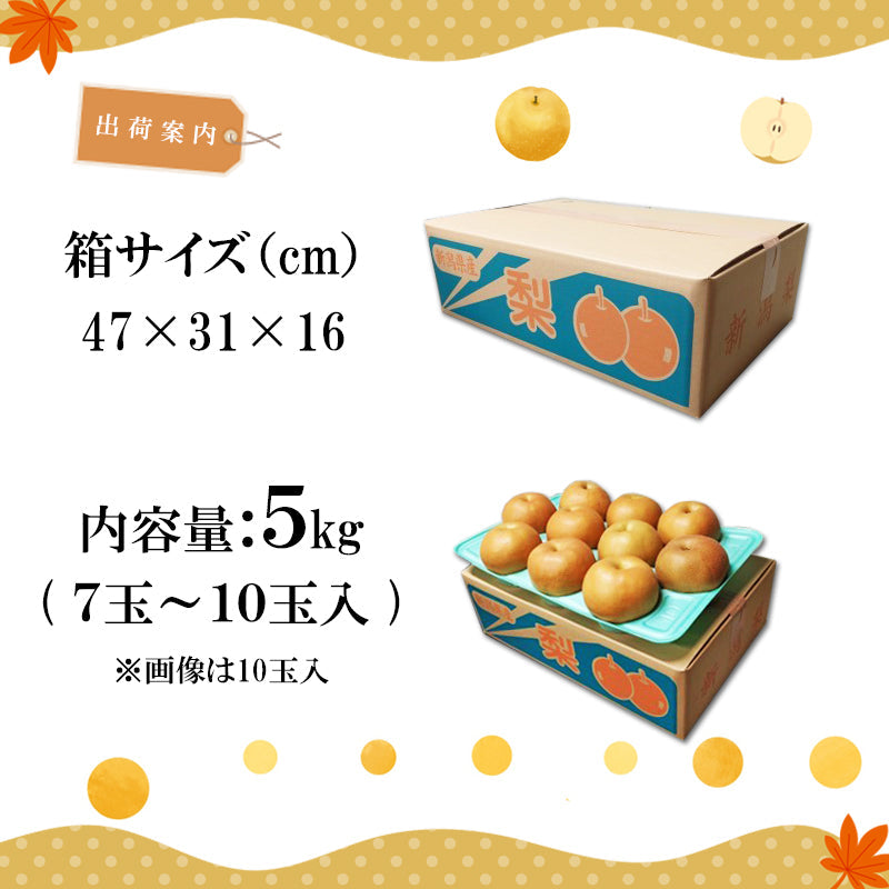 【申込期間は10/20迄】【送料込】梨 新潟市産 新高（にいたか）3㎏～ 白根 大郷の梨 海鮮問屋 見田元七商店