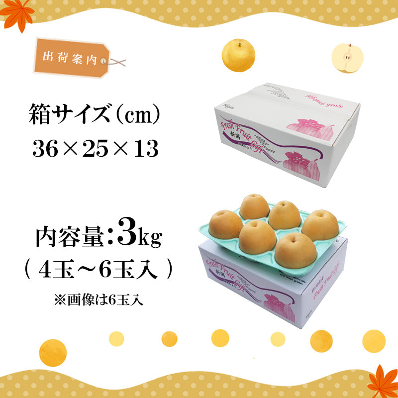 【申込期間は10/20迄】【送料込】梨 新潟市産 新高（にいたか）3㎏～ 白根 大郷の梨 海鮮問屋 見田元七商店