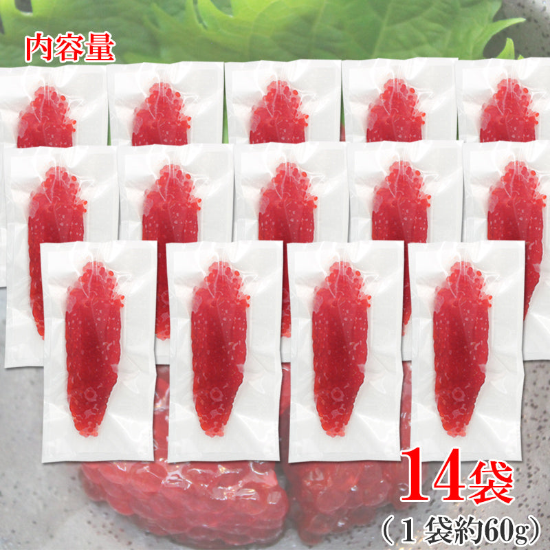 【北海道加工】天然紅鮭 味付醤油筋子 2パック～ 醤油漬け 筋子 すじこ おにぎりの具 ご飯のお供 海鮮問屋 見田元七商店