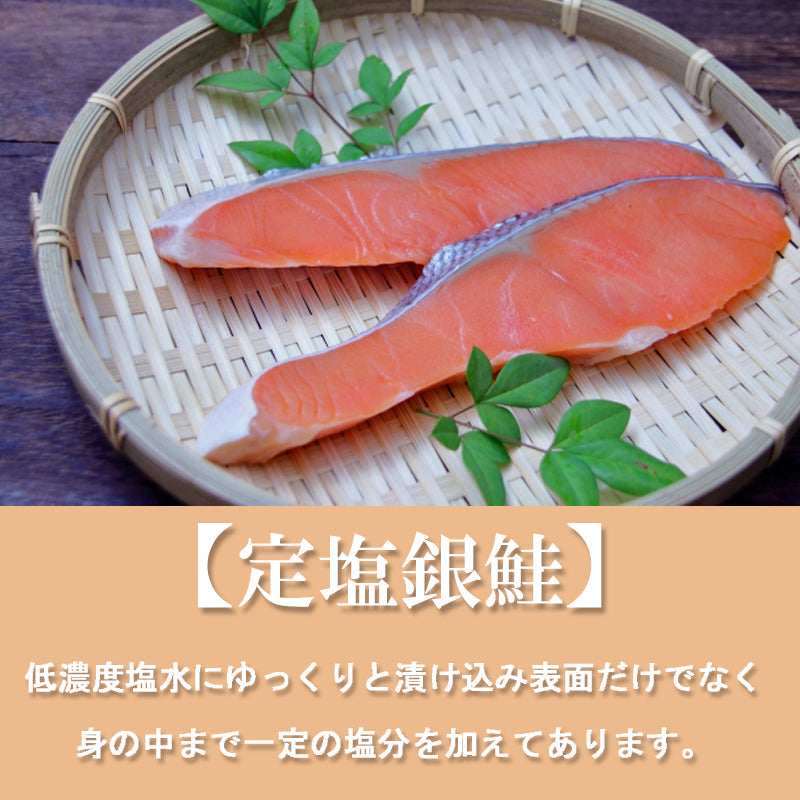 【送料無料】 定塩 銀鮭切身（甘塩）8切入 小分け 真空  銀鮭 ギンザケ 水産加工品 お取り寄せグルメ