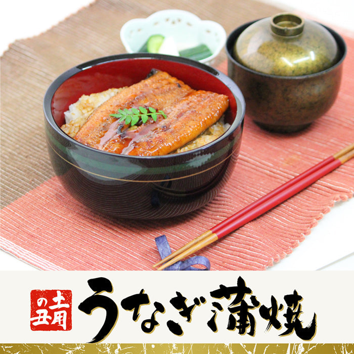 【送料無料】鹿児島県 指宿産 うなぎ蒲焼 真空パック 5枚入 長蒲焼 背開き ギフト 2025 鰻 ウナギ 土用 丑の日