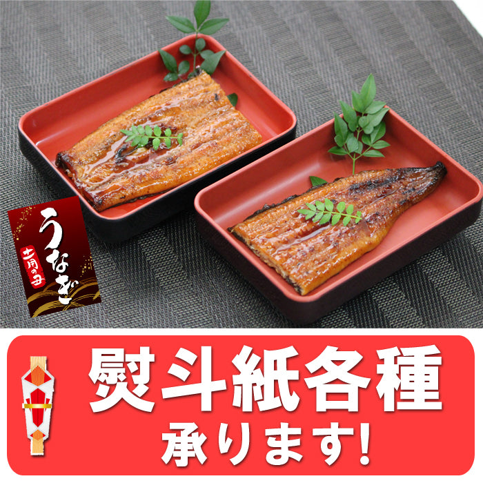 【送料無料】鹿児島県 指宿産 うなぎ蒲焼 真空パック 4枚入 長蒲焼 背開き ギフト 2025 鰻 ウナギ 土用 丑の日