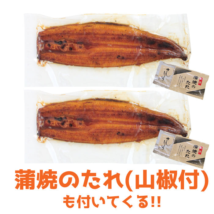 【送料無料】鹿児島県 指宿産 うなぎ蒲焼 真空パック 2枚入 長蒲焼 背開き ギフト 鰻 ウナギ 土用 丑の日