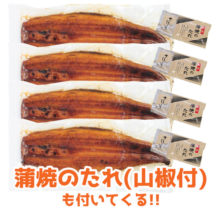 【送料無料】鹿児島県 指宿産 うなぎ蒲焼 真空パック 4枚入 長蒲焼 背開き ギフト 2025 鰻 ウナギ 土用 丑の日