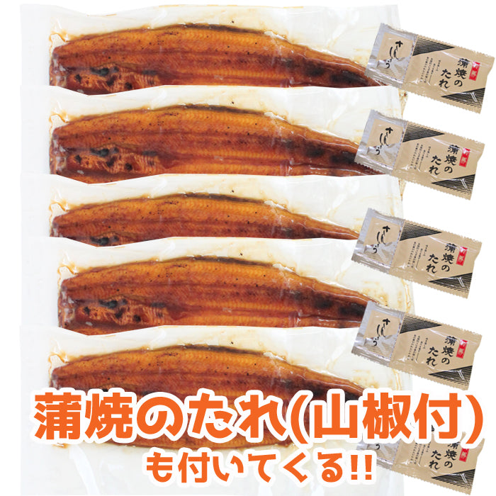 【送料無料】鹿児島県 指宿産 うなぎ蒲焼 真空パック 5枚入 長蒲焼 背開き ギフト 2025 鰻 ウナギ 土用 丑の日