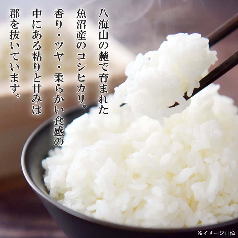 【送料込】令和7年産 新米 魚沼産コシヒカリ 八海山 選べる 10kg お米 ブランド米 精米 白米 見田元七商店 ※ 国産米
