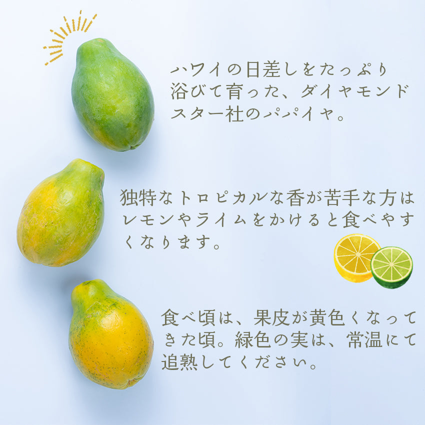 【送料無料】ハワイ産パパイヤ