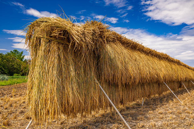 【福箱 16000円相当】お米の北海道代表銘柄食べ比べ（ゆめぴりか・ななつぼし・稲架掛け米）