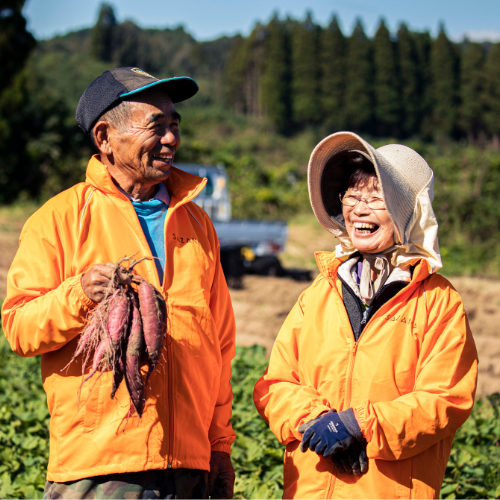 SAZANKA 　生ほしいも　1kg（冷凍）