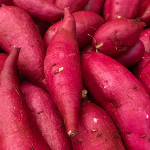 【お試し】SAZANKA 　熟成やきいも&生ほしいも　計1kg