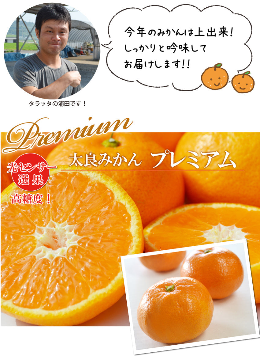 ◆化粧箱入◆【高糖度！】おくりもの『プレミアム』 3ｋｇ（大きめ・小さめ選べます。）