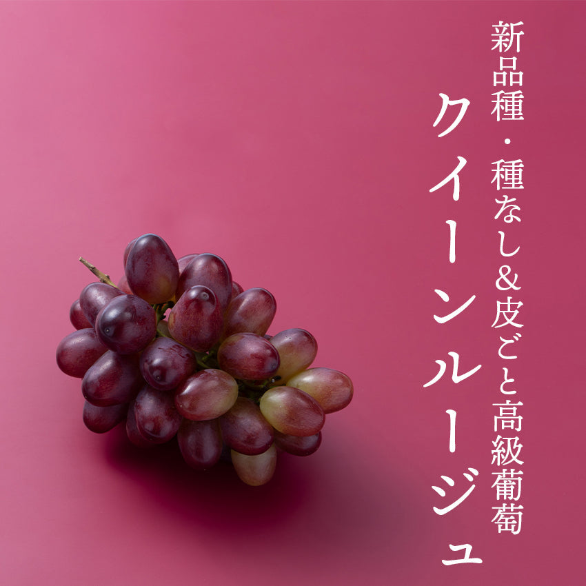 【予約販売】種なし葡萄3種セット