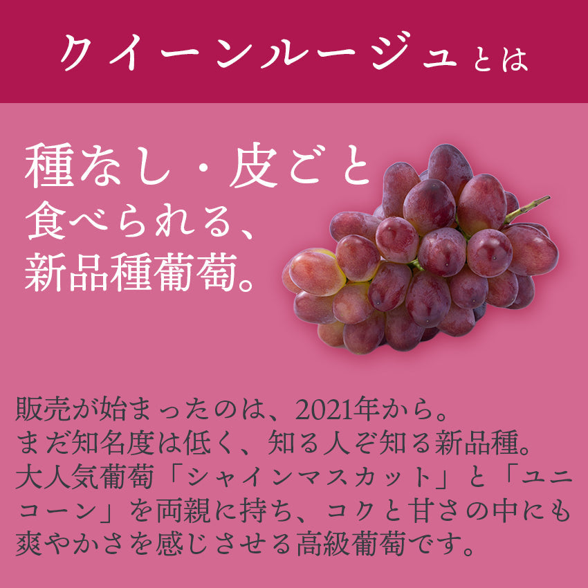 長野産ぶどう　クイーンルージュ