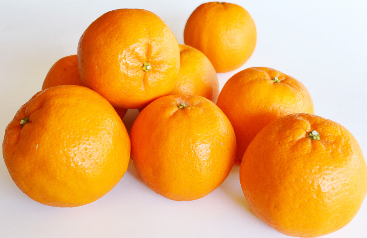 【春の柑橘】濃厚な甘さとサクサクの食感★ポンカン★