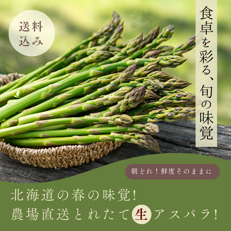 北海道の春の味覚！朝採れ農園直送で栄養たっぷりアスパラ！800g／ハウスもの4月上旬より順次出荷、露地物GWから順次出荷