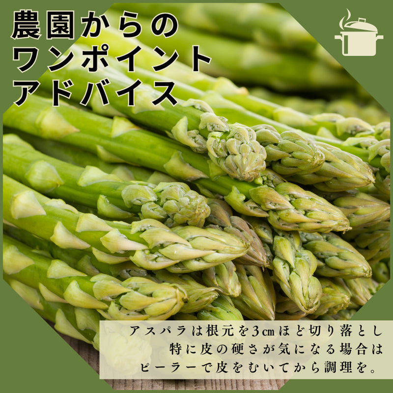 北海道の春の味覚！朝採れ農園直送で栄養たっぷりアスパラ！800g／ハウスもの4月上旬より順次出荷、露地物GWから順次出荷