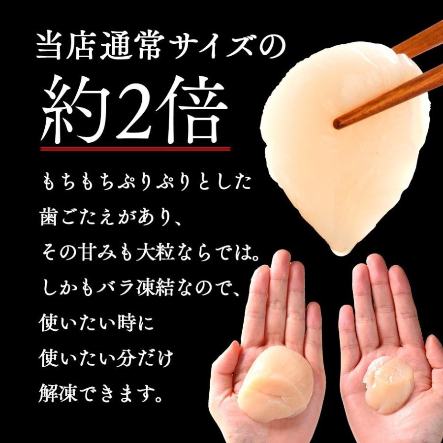 北海道産 お刺身 肉厚ほたて貝柱 300g×2【送料無料】