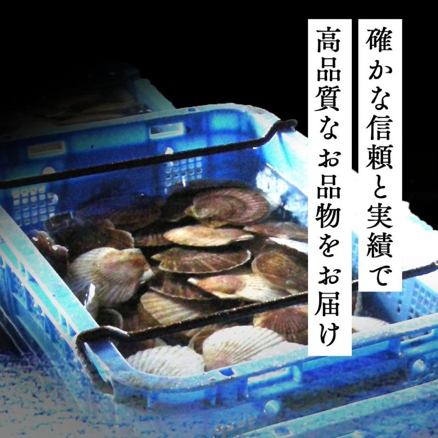 北海道産 お刺身 肉厚ほたて貝柱 300g×2【送料無料】